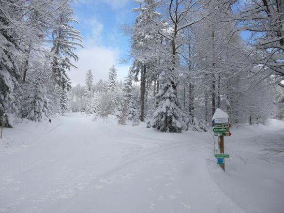 Gewalzte Strecke zur Chamer Hütte links