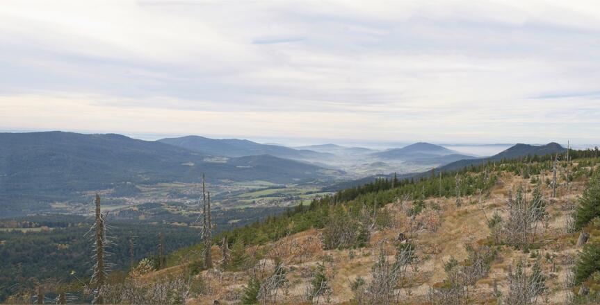 Panoramablick in den Lamer Winkel vom &quot;Naturkino&quot; nördlich des Gipfels