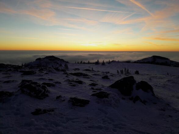 Abendstimmung am Arbergipfel