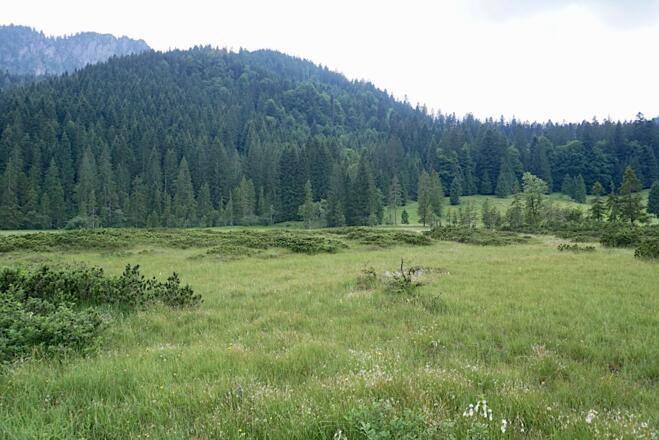 Röthelmoos (Naturschutzgebiet)