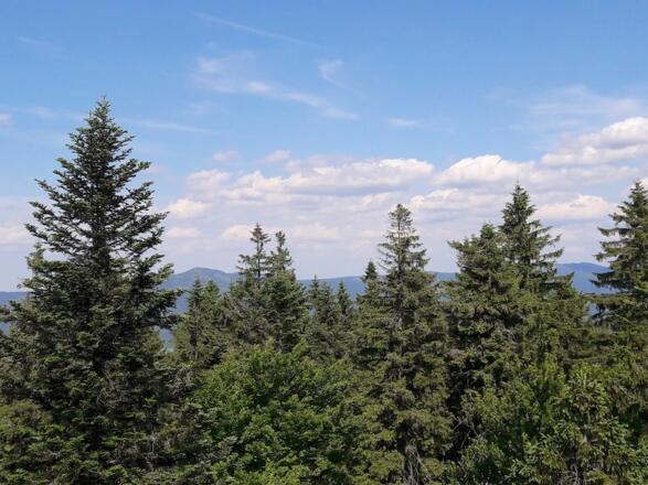 Aussicht nach Osten/Osser