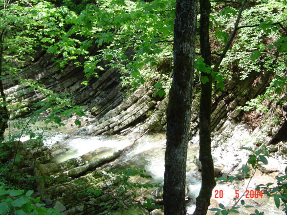 Glasenbachklamm