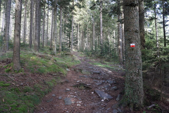 Nach einer 120-Grad Rechtskurve nach links auf den Wanderweg La1 abbiegen