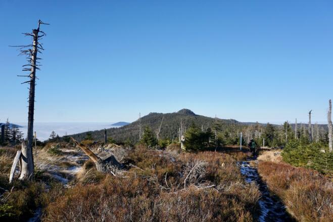 Blick zurück vom Grenzsteig zum Kleinen und Großen Osser