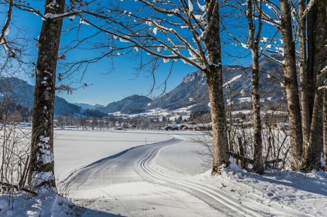 Söll_Schattseit_Winter_Wilder Kaiser