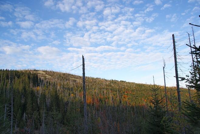 Steinfleckberg vom Finsterauer Lusensteig