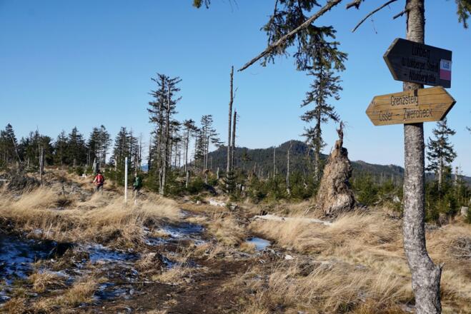 Abzweigung vom Grenzsteig zum Lohberger Steindl