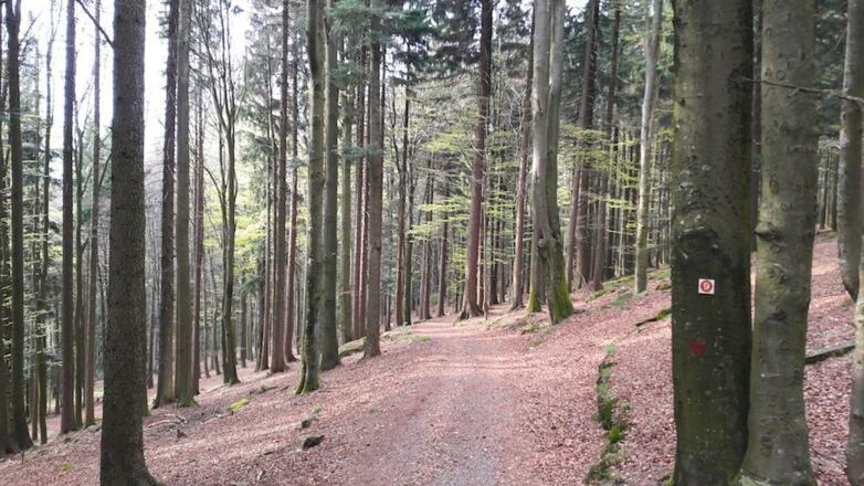 Wanderweg nach Schuhchristleger