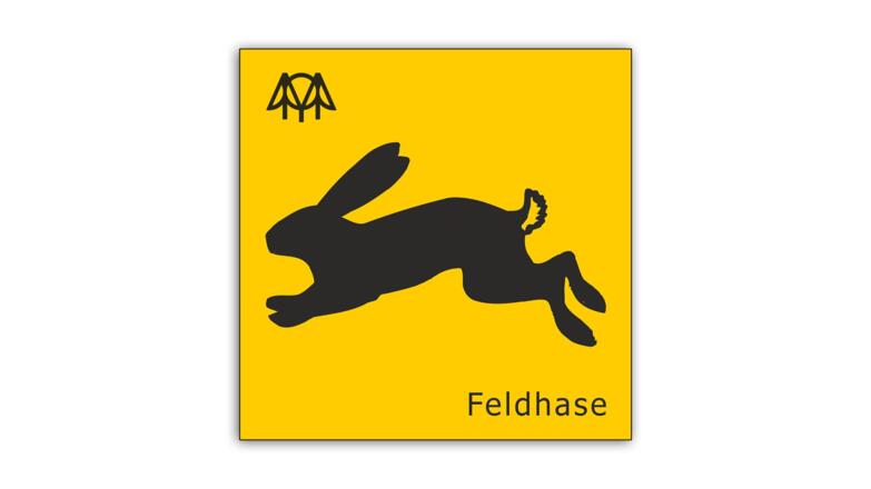 Feldhase.jpg