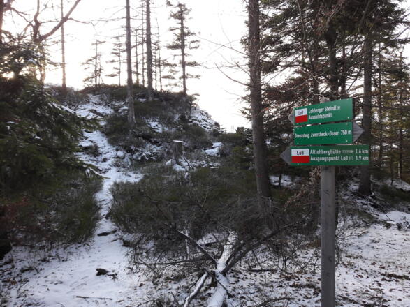 Zustieg zum Lohberger Steindl