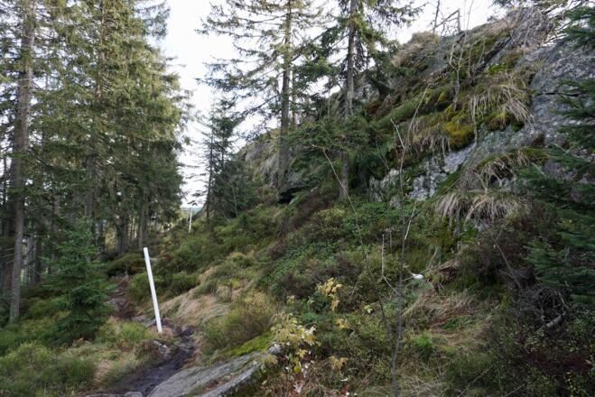 Grenzsteig ostseitig des Grenzkammes