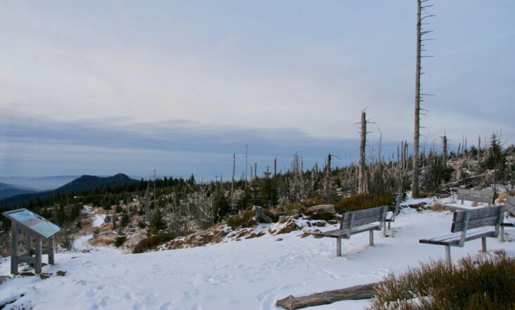 Naturkino beim Zwercheck