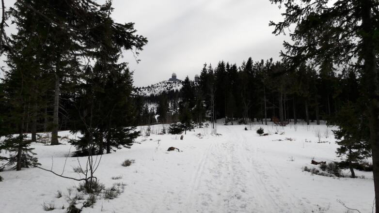 Blick zum Großen Arber