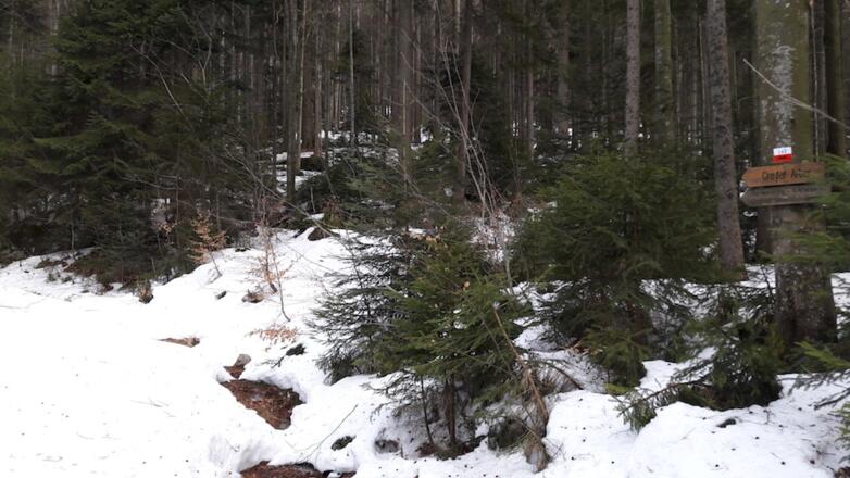 Wegweiser LO3 an der Strecke