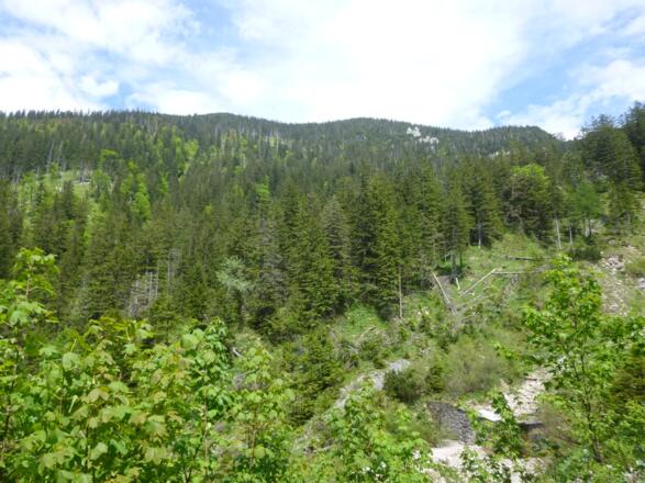 Weißgraben am Beginn des Fellnhorn-Anstiegs