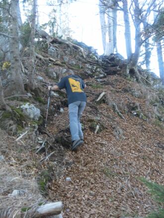 Waldpfad am Nordrücken