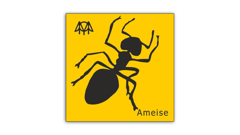 Ameise.jpg