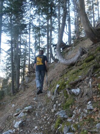 Waldpfad am Nordrücken