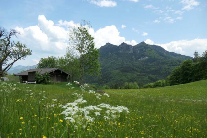 Ausblick von Hinterkronberg