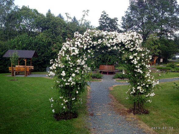 Rosenspalier - Rennsteigpark - Steinbach am Wald