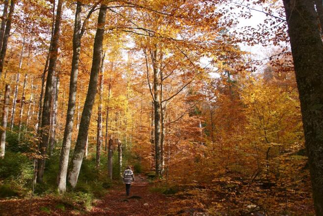 Weg zur Martinsklause