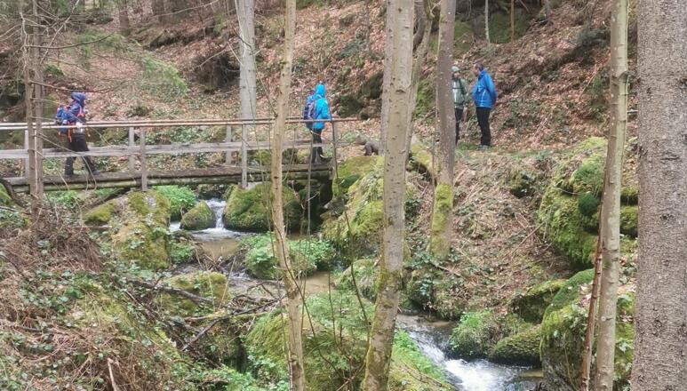 Bärenluckenweg Wandern in Kaltenberg