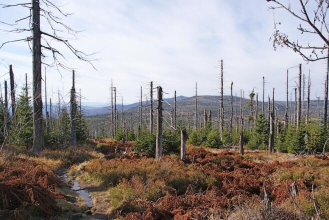 Blick zurück zu Rachel und Spitzberg