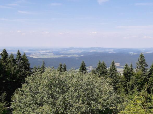 Aussicht nach Norden/Hoher Bogen