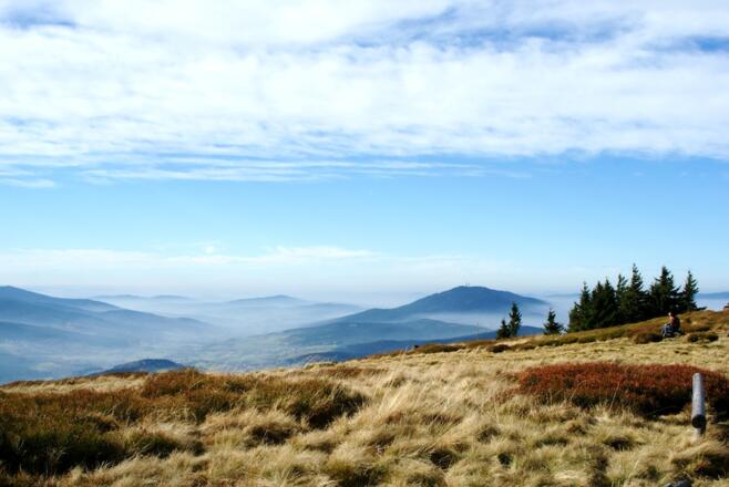 Osserwiese und Hoher Bogen
