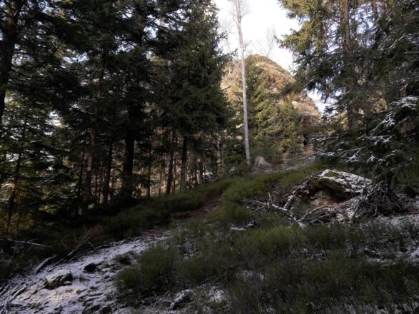 Blick zum Lohberger Steindl