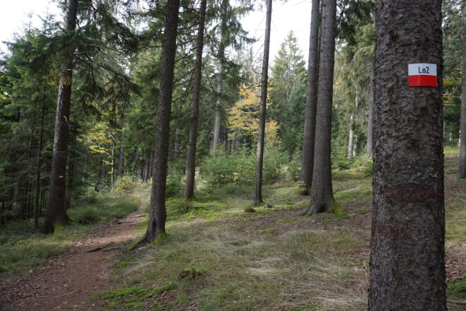 Wanderweg Lo2 am Beginn