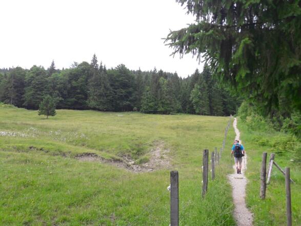 Durch das Nattersbergalmgelände