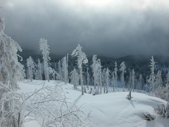 Wolkenstimmung am Kleinen Arber