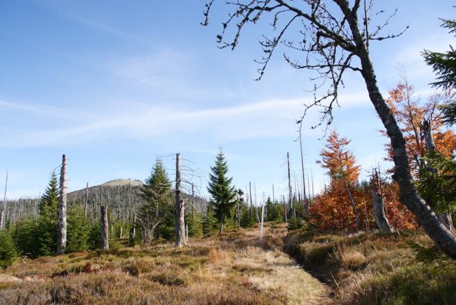 Grenzsteig zum Markfleckl