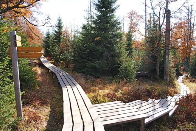 Weiterweg zur Gläsernen Arche