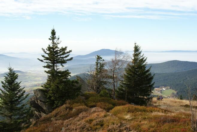 Hoher Bogen und Lambach von der Osserwiese