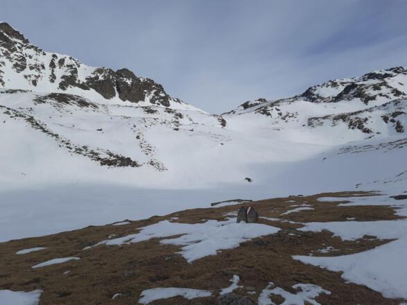 Die schneebedeckten Koflerseen
