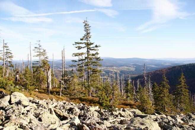 Ausblick vom Steinfeckberg