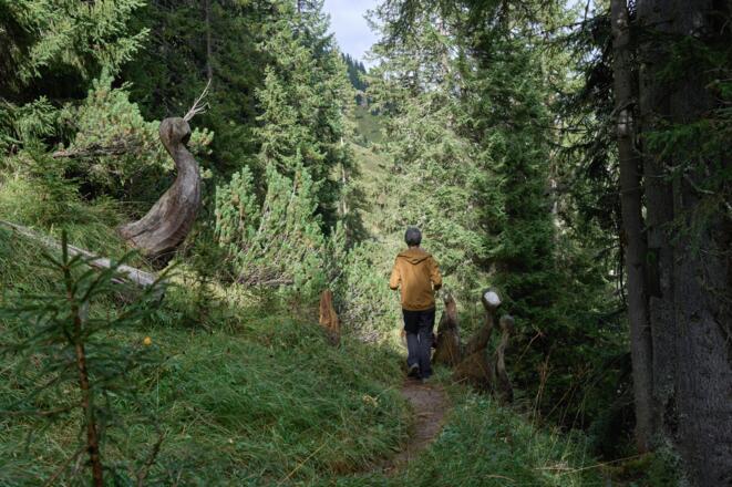 Sagenwald am Grünen Ring