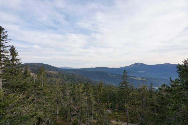Blick vom westseitigen Grenzsteig zum Großen und Kleinen Arber