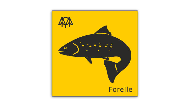 Forelle.jpg