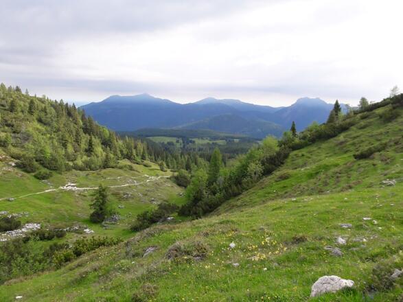 Blick zu Hochgern und Hochfelln kurz vor dem Straubinger Haus