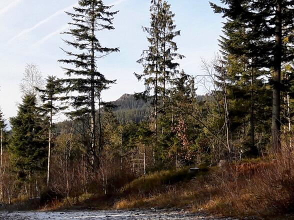 Blick vom Ausgangspunkt zum Kleinen Osser