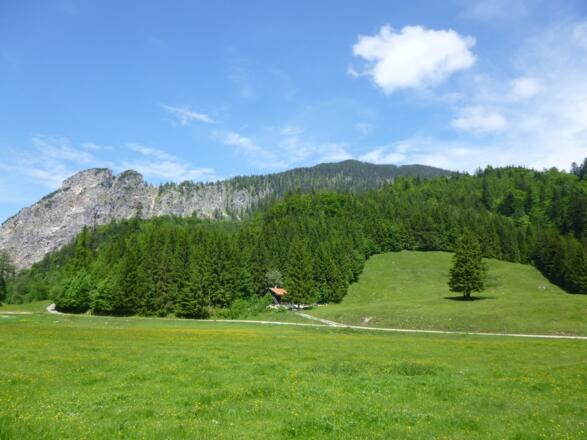 Eschelmoos-Diensthütte mit Hochfelln