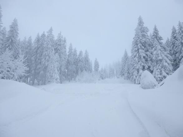 Anstieg zum Kleinen Arber