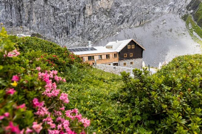 Anhalter Hütte mit Almrausch