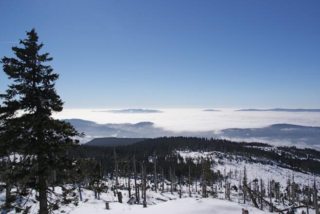 Kleiner Arber - Ausblick nach Süden