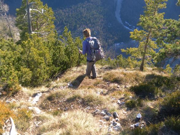 Ostrücken der Schlösselschneid