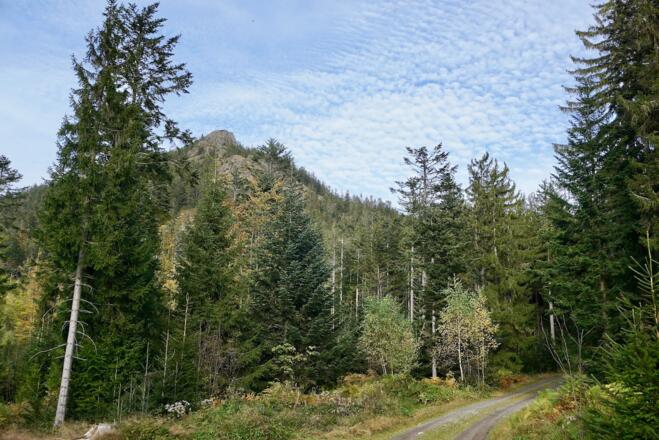 Blick zum Kleinen Osser