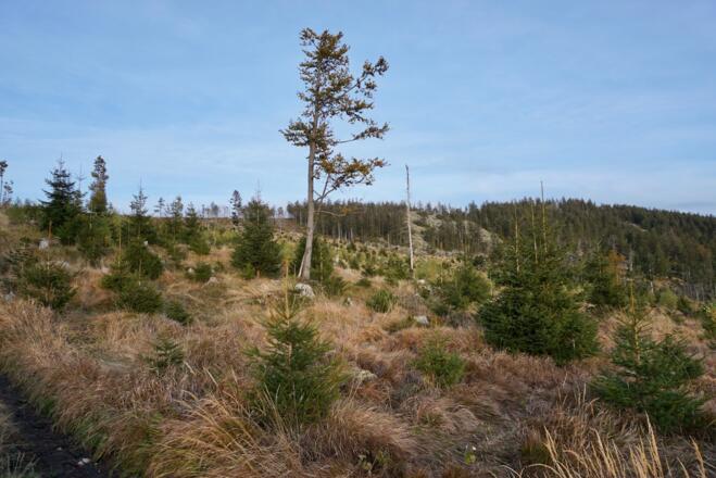 Bergaufsicht zum Steinmeer "Am Knöchel"